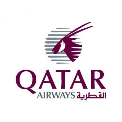 Airline logo